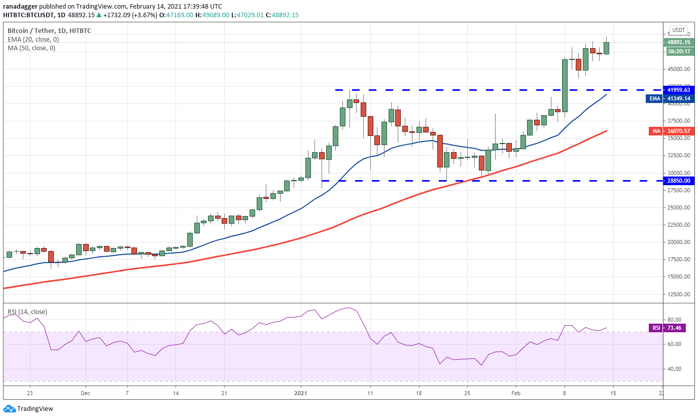 kripto para